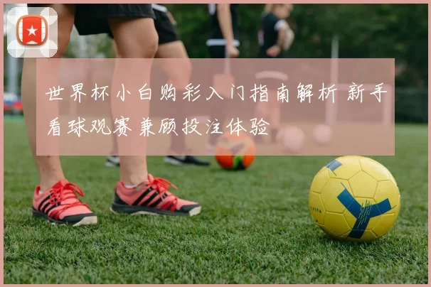 世界杯小白购彩入门指南解析 新手看球观赛兼顾投注体验