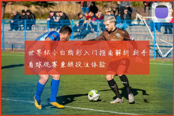 世界杯小白购彩入门指南解析 新手看球观赛兼顾投注体验