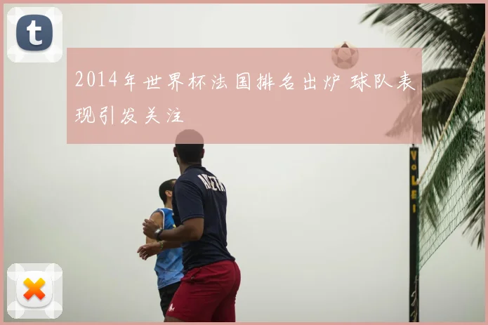 2014年世界杯法国排名出炉 球队表现引发关注