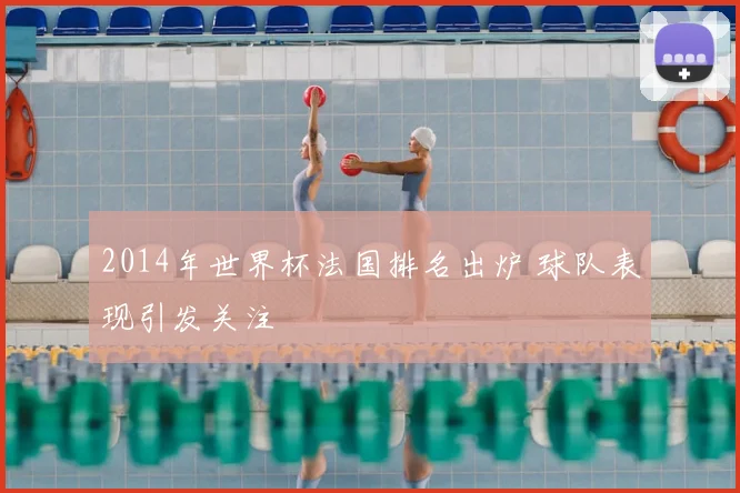 2014年世界杯法国排名出炉 球队表现引发关注