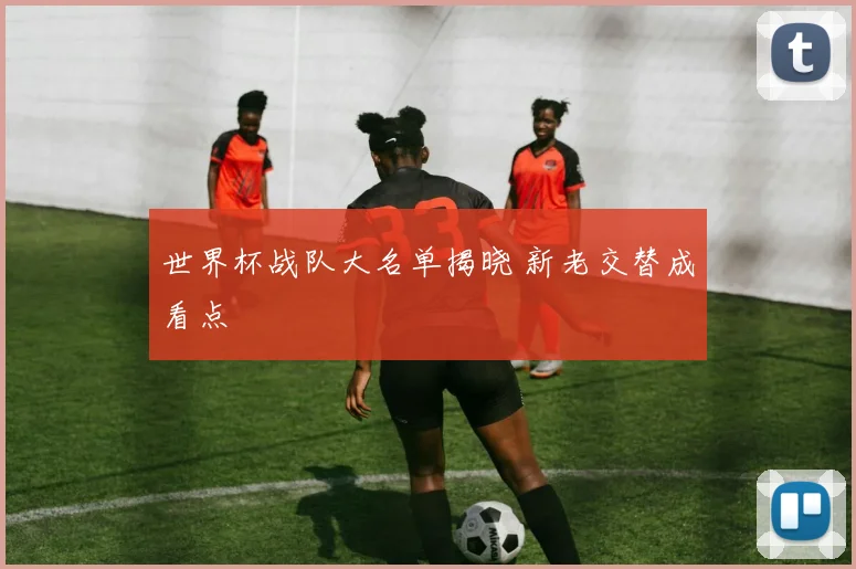 世界杯战队大名单揭晓 新老交替成看点